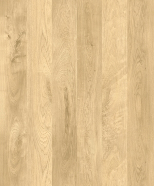 ModernWood Texture