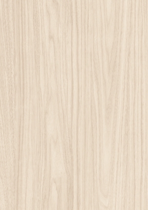 ModernWood Texture