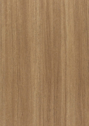 ModernWood Texture