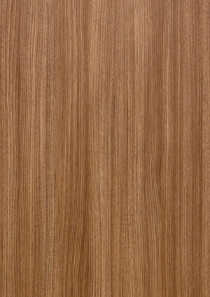 ModernWood Texture