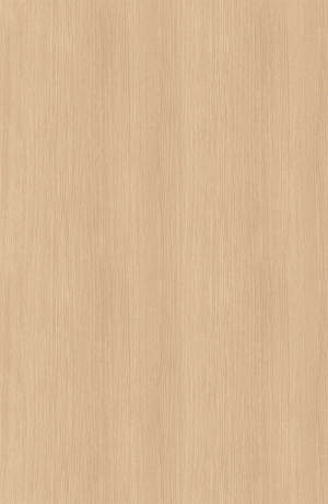 ModernWood Texture