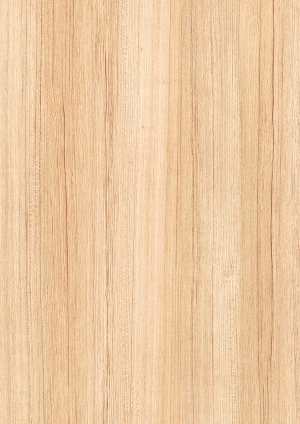 ModernWood Texture