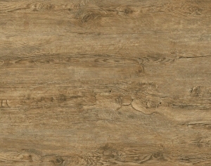 ModernWood Texture