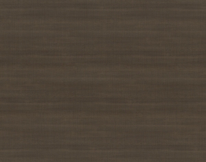 ModernWood Texture