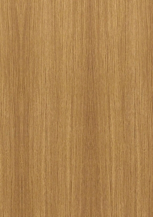 ModernWood Texture