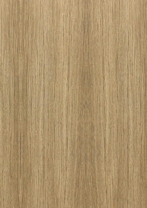ModernWood Texture