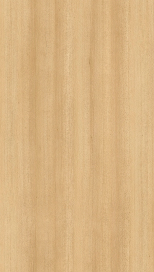 ModernWood Texture