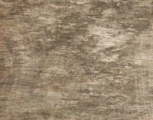 ModernBark Texture