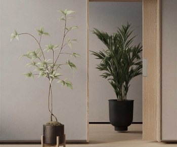 Modern Ground Green Plant Potted Plants-ID:101850018