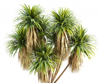 Modern Tree-ID:125598915