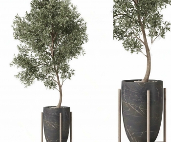 Modern Ground Green Plant Potted Plants-ID:578804027