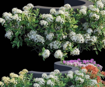 Modern Shrubbery-ID:497448923