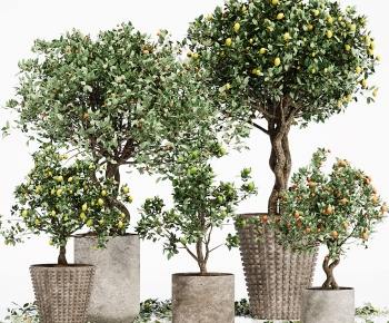 Modern Ground Green Plant Potted Plants-ID:595105894