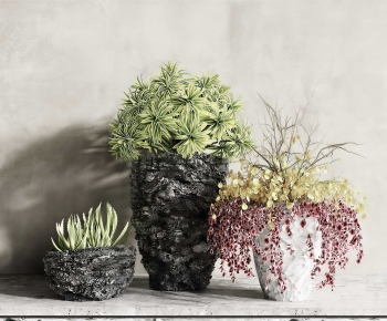 Modern Potted Green Plant-ID:716269029