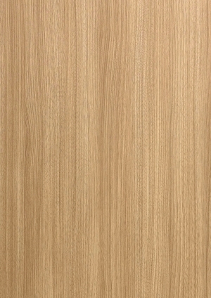 ModernWood Texture