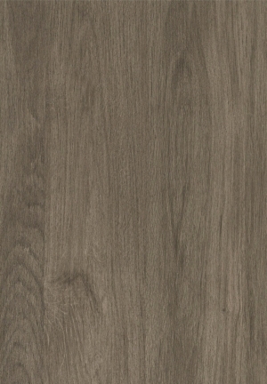 ModernWood Texture