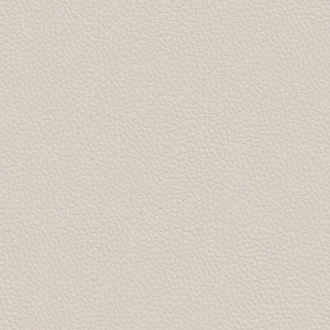 ModernRough Grain Leather