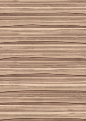 ModernWood Texture