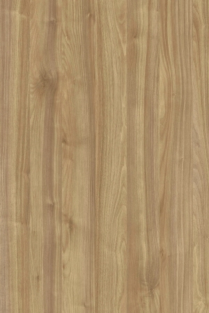 ModernWood Texture