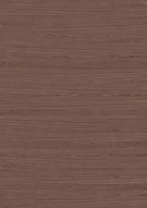 ModernWood Texture