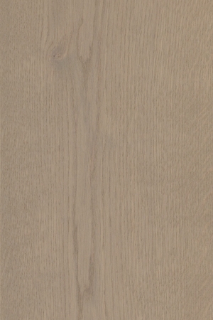 ModernWood Texture