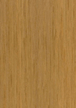 ModernWood Texture