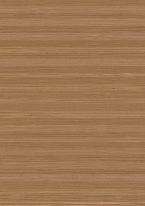 ModernWood Texture