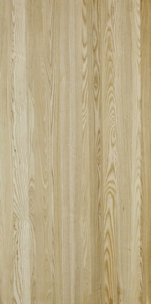 ModernWood Texture