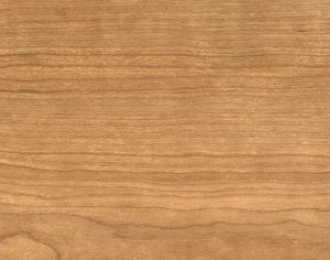 ModernWood Texture