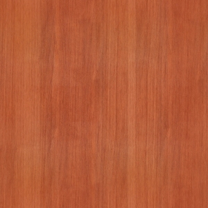 ModernWood Texture