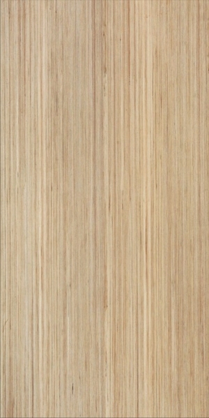 ModernWood Texture