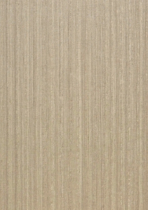 ModernWood Texture