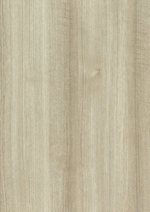 ModernWood Texture