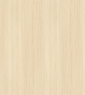 ModernWood Texture