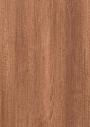 ModernWood Texture