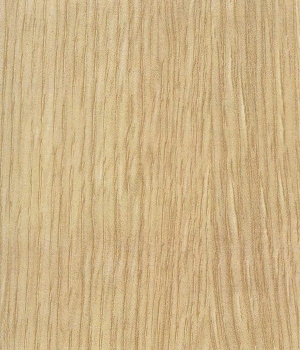 ModernWood Texture