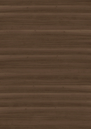 ModernWood Texture