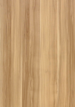 ModernWood Texture