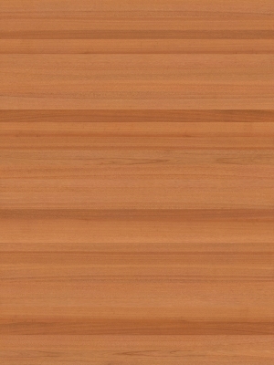 ModernWood Texture
