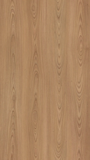 ModernWood Texture