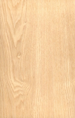ModernWood Texture