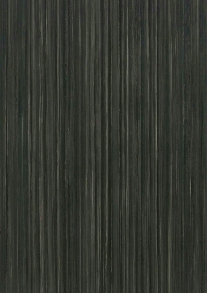 ModernWood Texture