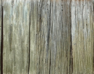 ModernWood Texture