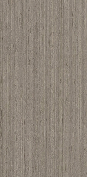 ModernWood Texture