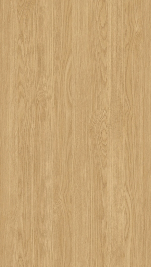 ModernWood Texture