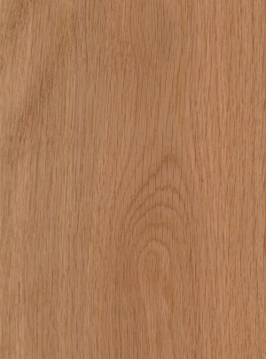 ModernWood Texture