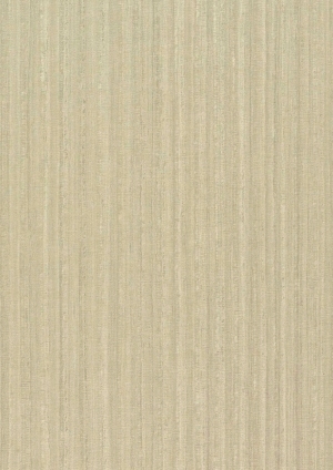 ModernWood Texture