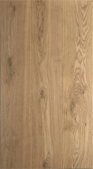 ModernWood Texture