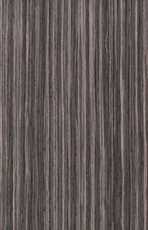 ModernWood Texture
