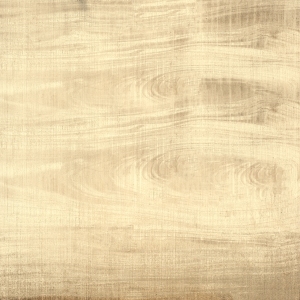 ModernWood Texture